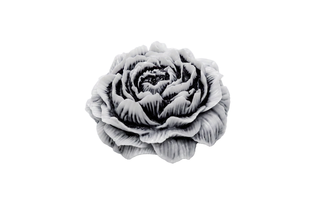 LargeBlooms in Noir