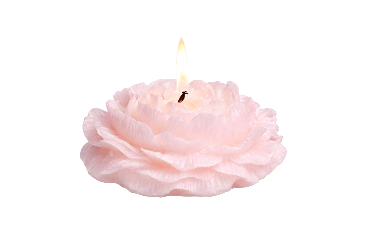 LargeBlooms in Blush